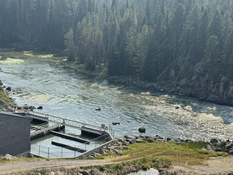 Henry's Fork Water Shed