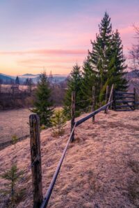 Sunset colors, trees, and fencing around the trees.