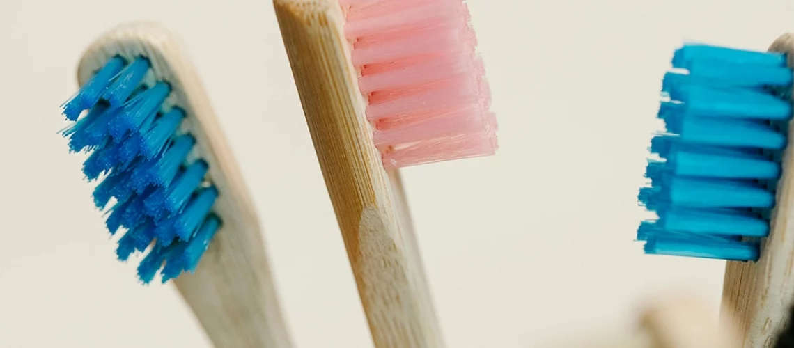 holistic dental care wooden toothbrushes